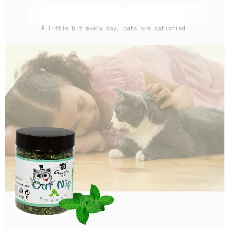 Catnip Orgânico 100% Natural - Diversão Saudável para Seu Gato!