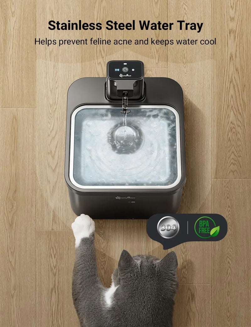 Fonte Automática para Gatos, em Aço Inoxidável, Bateria Wireless e Sensor Inteligente 2 em 1 - Capacidade 2,5L