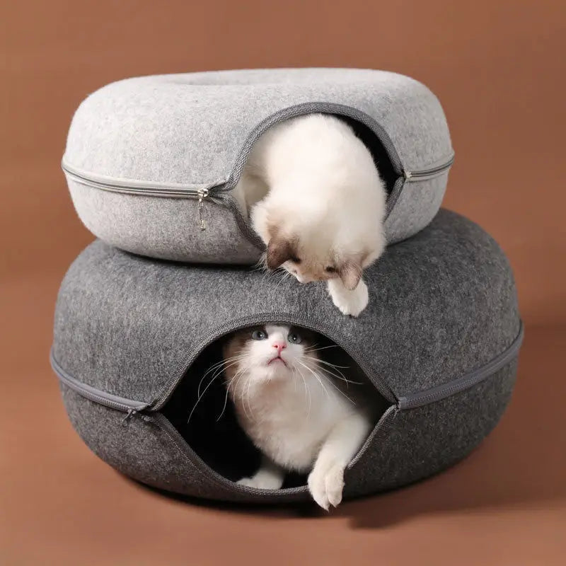 Cama Túnel Multifuncional para Gatos