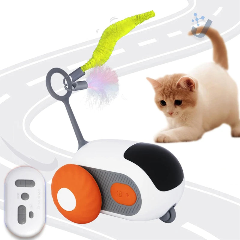 Carro Automático com Controle para Gatos