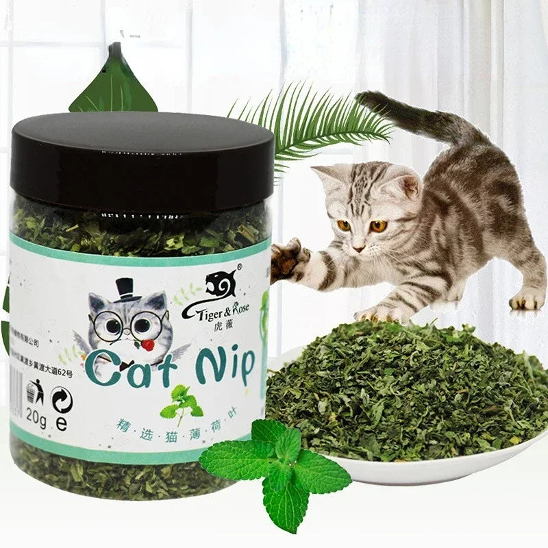 Catnip Orgânico 100% Natural - Diversão Saudável para Seu Gato!