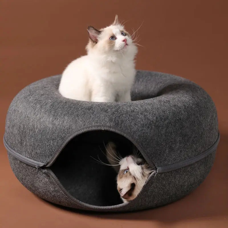 Cama Túnel Multifuncional para Gatos