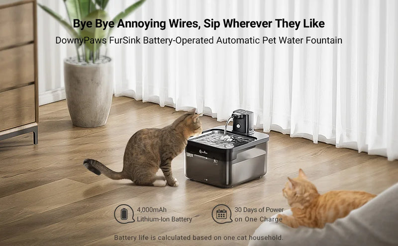 Fonte Automática para Gatos, em Aço Inoxidável, Bateria Wireless e Sensor Inteligente 2 em 1 - Capacidade 2,5L