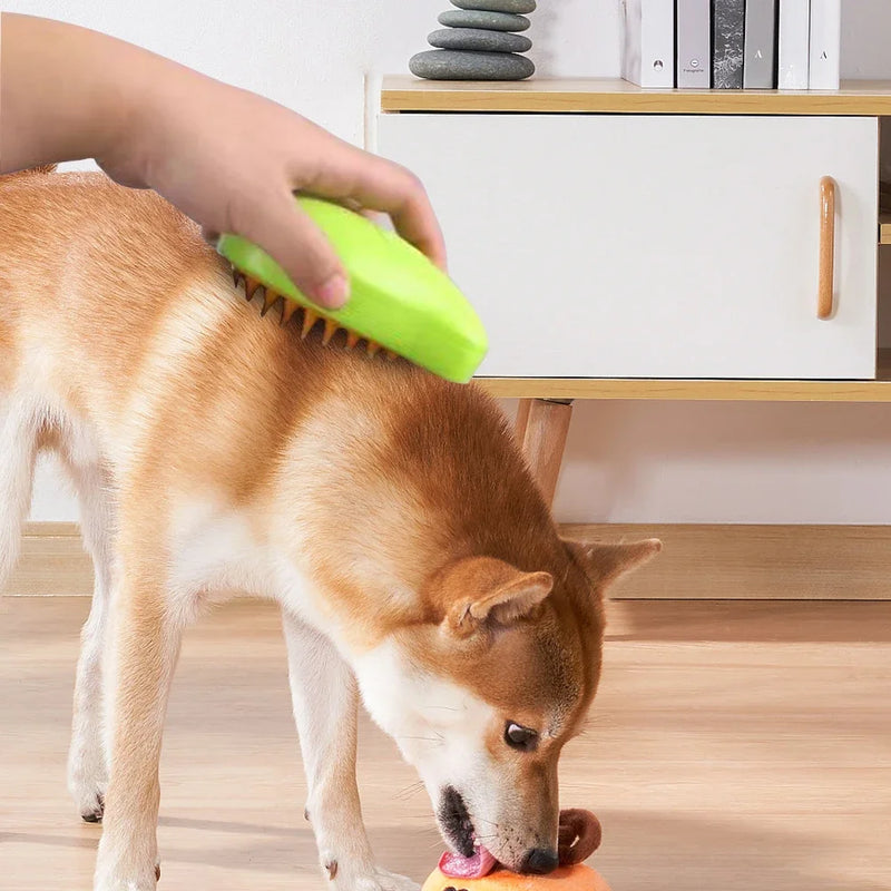 Escova com Função Vapor e Spray para Higiene do Gato